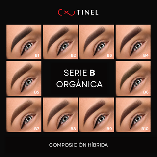 Set "Brow Collection" Tinel