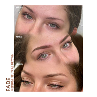 FADE Medium Neutral Brown