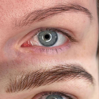 Gray Harbor - Línea Híbrida