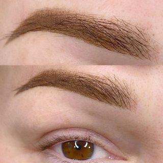 Cinnamon Sticks - Línea Híbrida