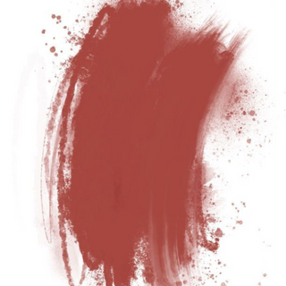 Cocoa Beans - Labios