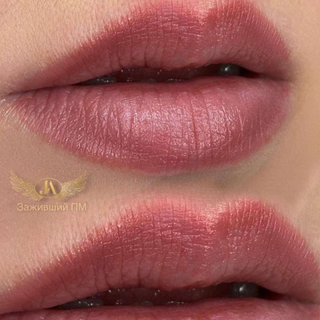 Cocoa Beans - Labios