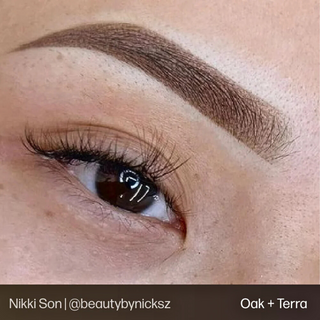 Brow Set - Evenflo EE.UU
