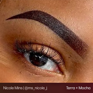 Brow Set - Evenflo EE.UU