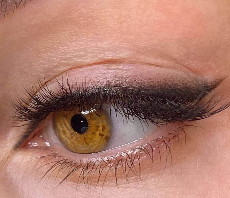 BASIC LINE -CEJAS - DEEP BROWN