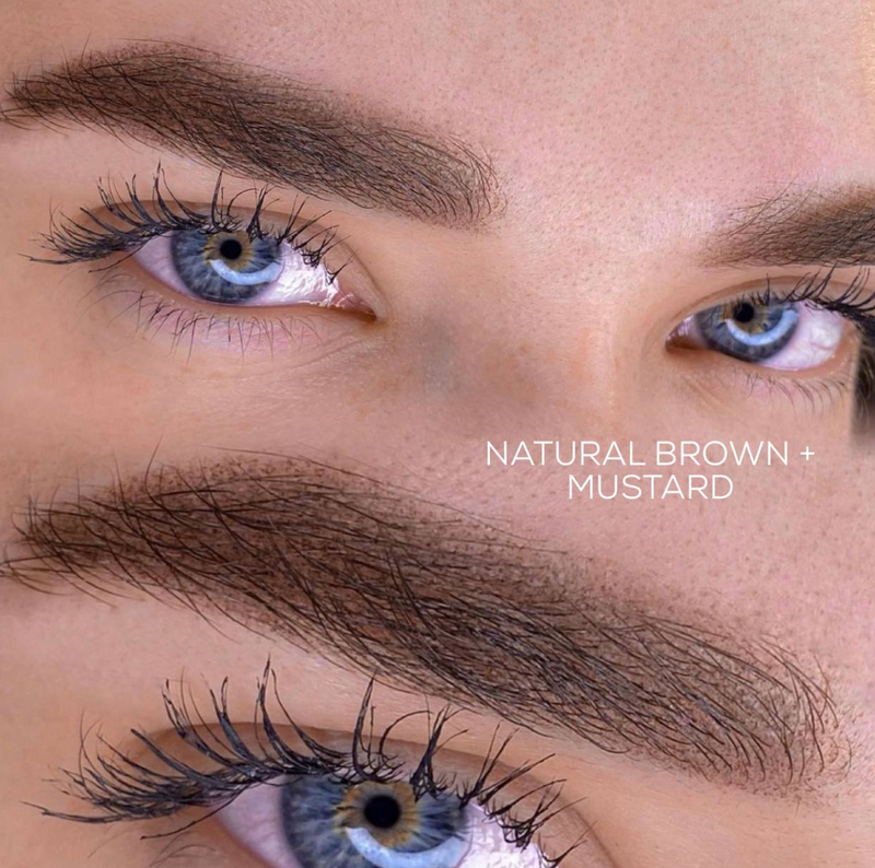 BASIC LINE- NATURAL BROWN