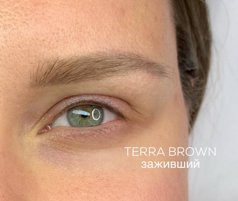 BASIC LINE - TERRA BROWN