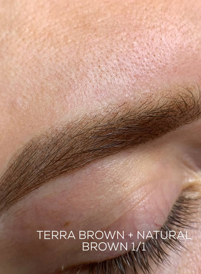 BASIC LINE - TERRA BROWN