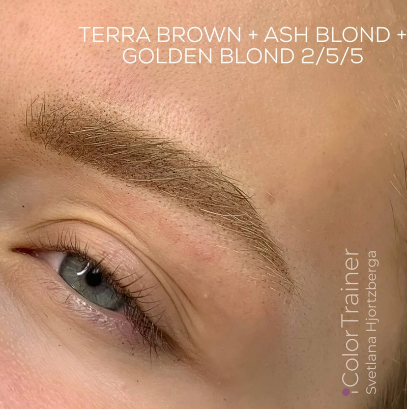 BASIC LINE - TERRA BROWN