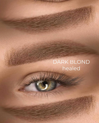 BASIC LINE - DARK BLOND