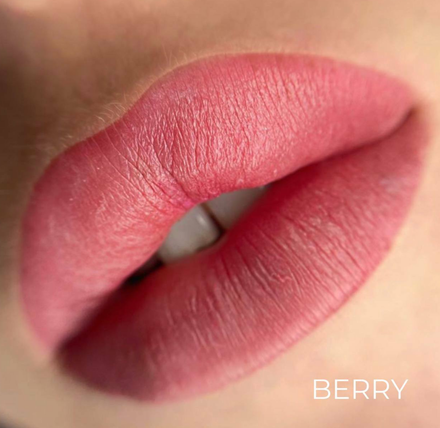 LINEA BASIC - BERRY