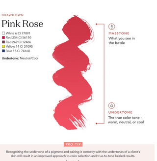 Pink Rose-EE.UU Tina Davies