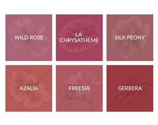 Floral Set iColor