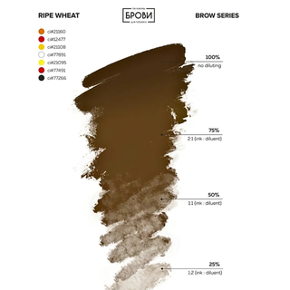 Set basico cejas brovi
