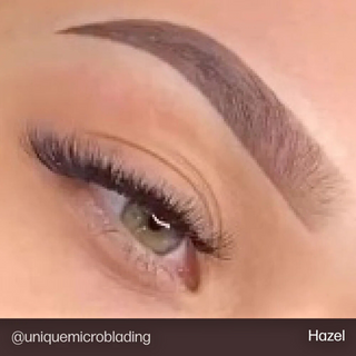 Hazel - Evenflo EE.UU