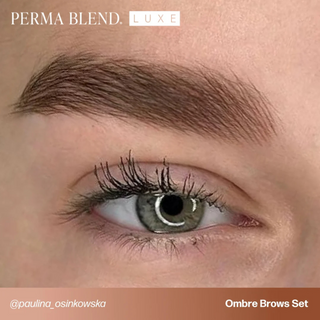 Kit Ombre Brows
