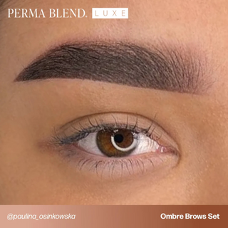 Kit Ombre Brows